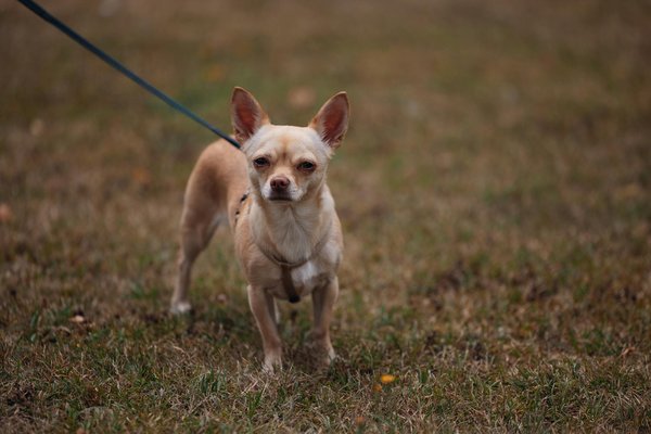 Ki-gestützte marktüberwachung: revolutionierung der finanzsicherheit durch künstliche intelligenz gegen manipulation